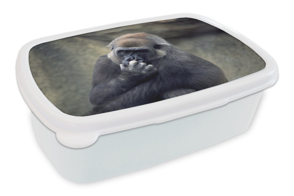 MuchoWow Lunchbox Niedlicher Gorilla kratzt sich an der Nase, Kunststoff, (2-tlg), Brotbox für Kinder und Erwachsene, Brotdose, für Jungs und Mädchen weiß