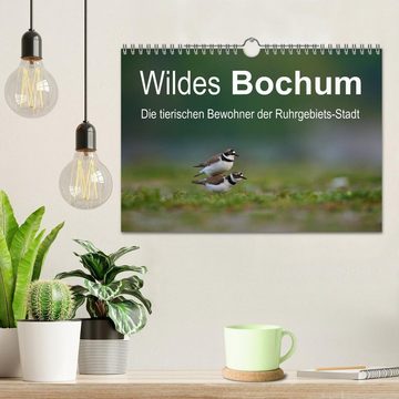 CALVENDO Wandkalender Wildes Bochum (Wandkalender 2025 DIN A4 quer), CALVENDO Monatskalender
