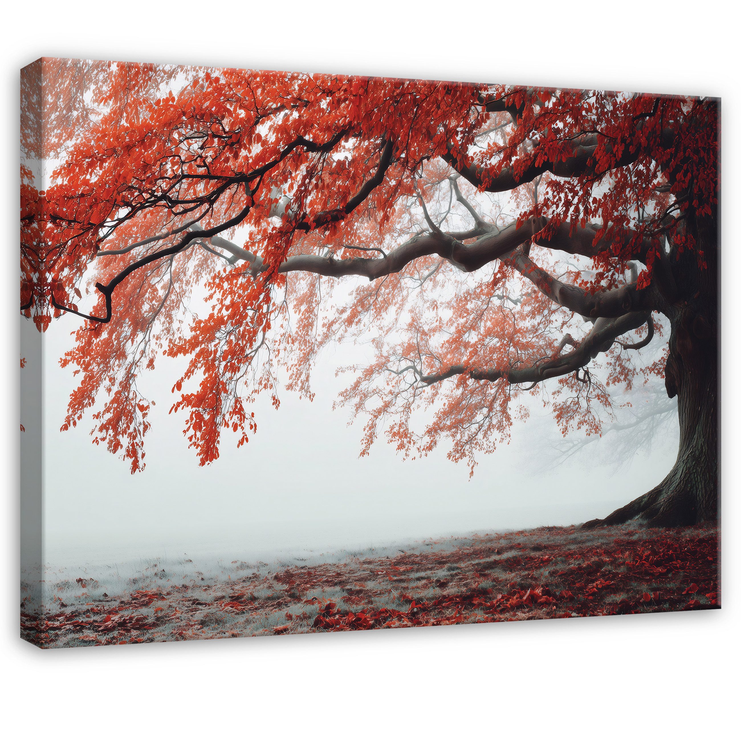 Wallarena Leinwandbild Baum Nebel - Orange - Modern - Wohnzimmer, Baum, 40x30x2cm