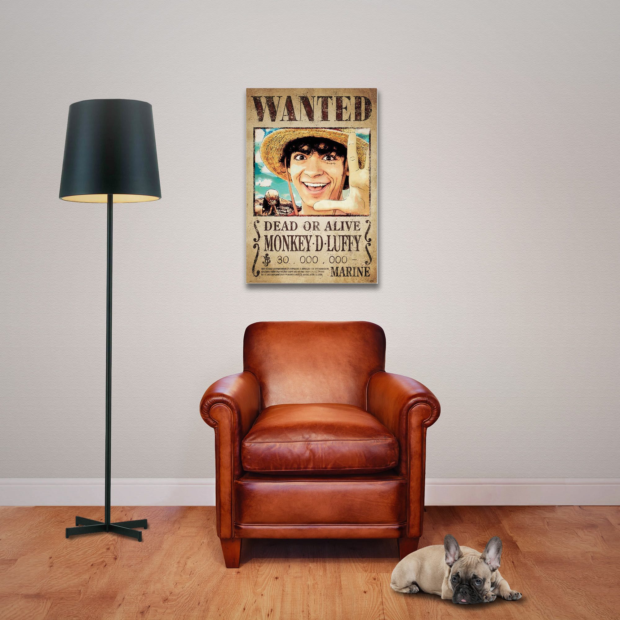 Poster One Piece - Poster - Wanted Money D. Luffy