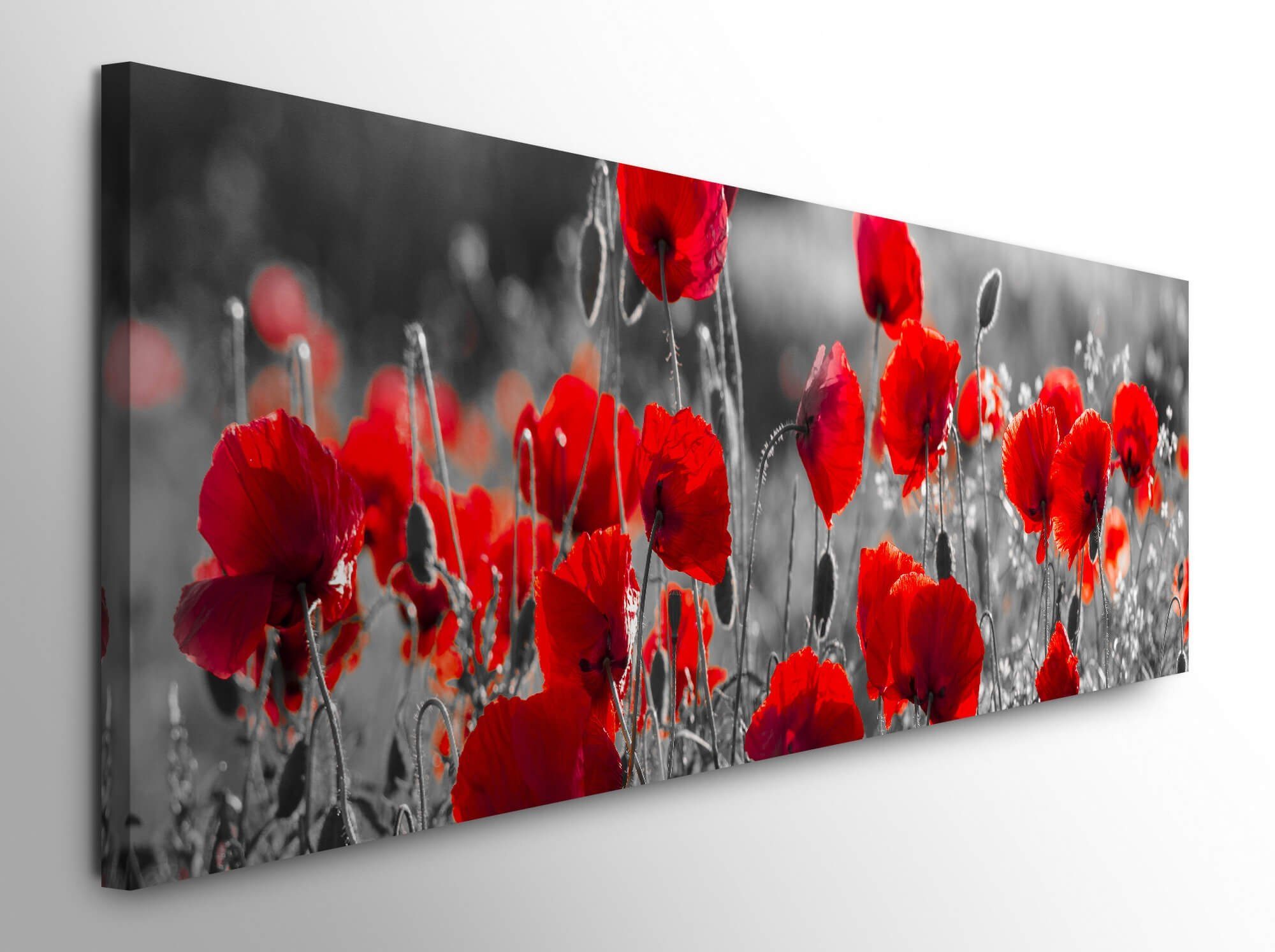 möbel-direkt.de Leinwandbild Bilder XXL Mohnblumen in günstig online kaufen