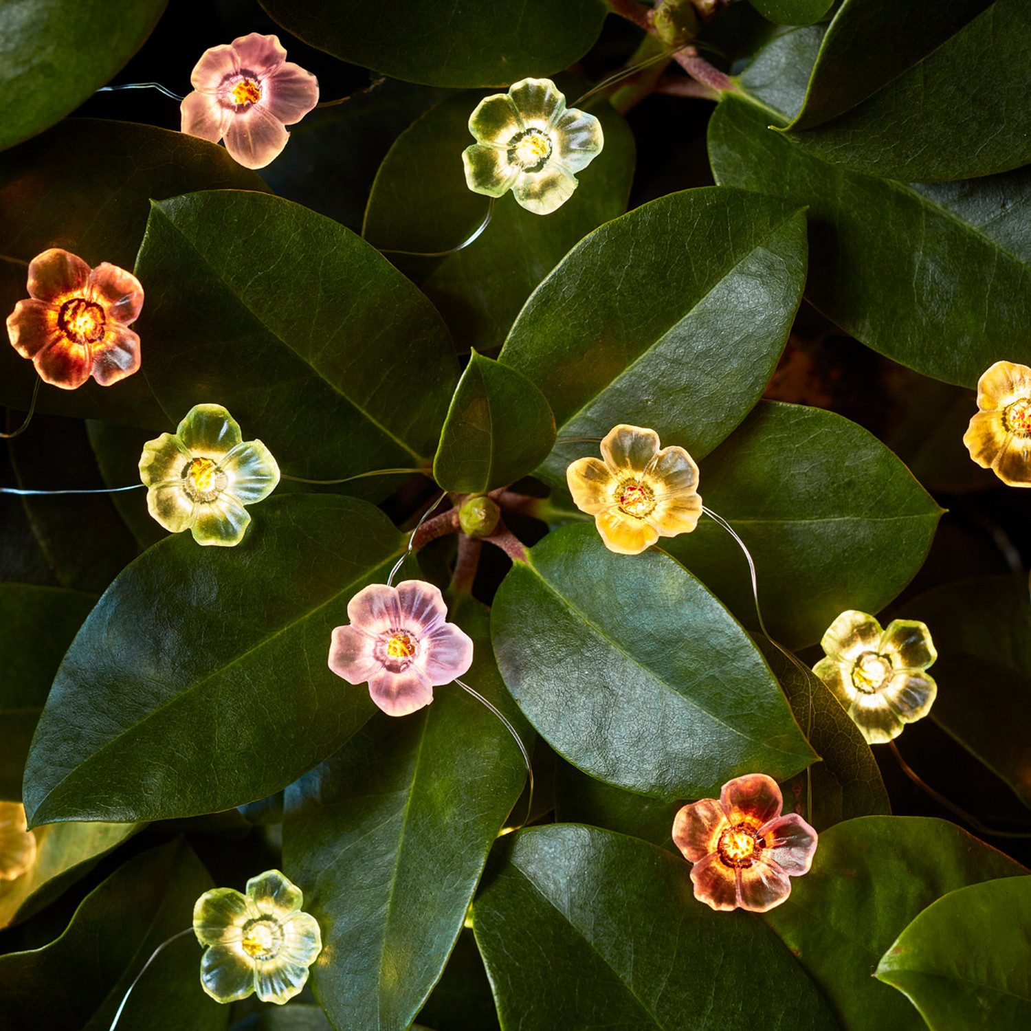 Lights4fun LED-Lichterkette 20er Micro Lichterkette außen bunte Rosen