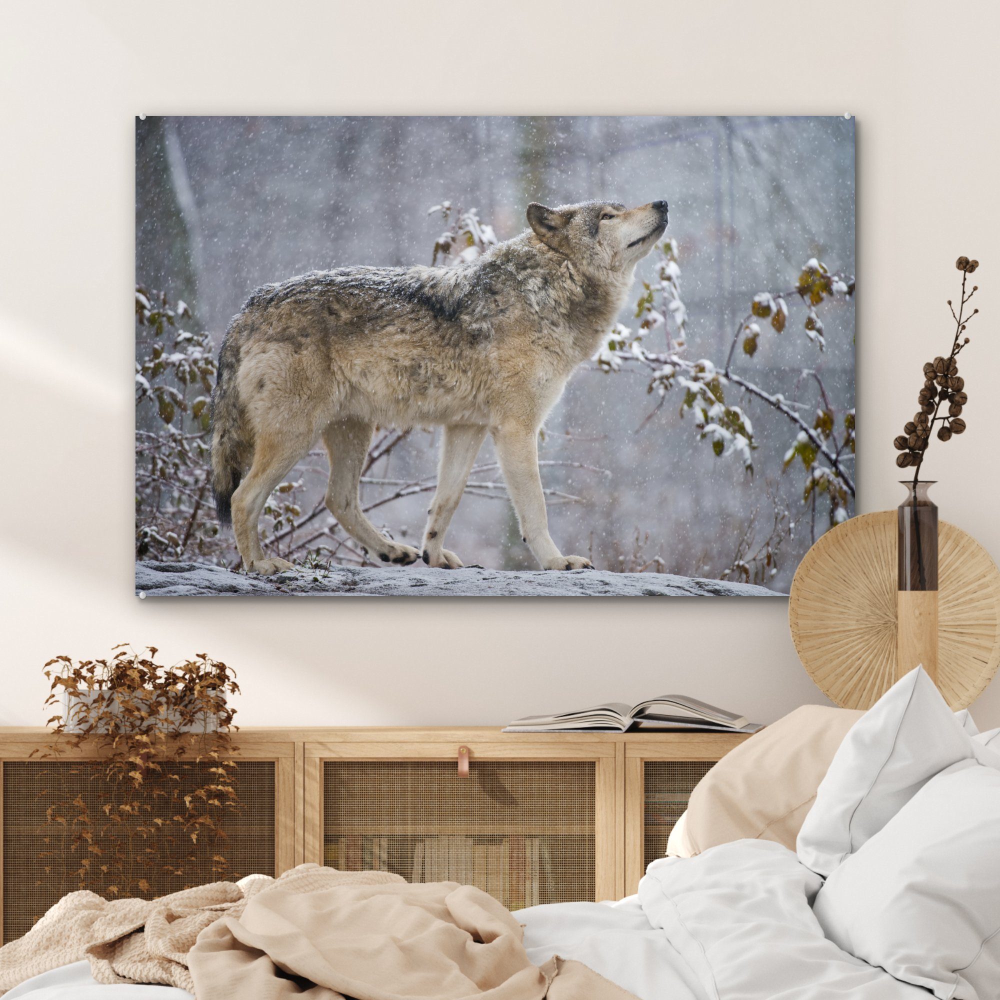 MuchoWow Acrylglasbild Wolf - Winter, Wohnzimmer Acrylglasbilder St), (1 Schnee - Schlafzimmer &