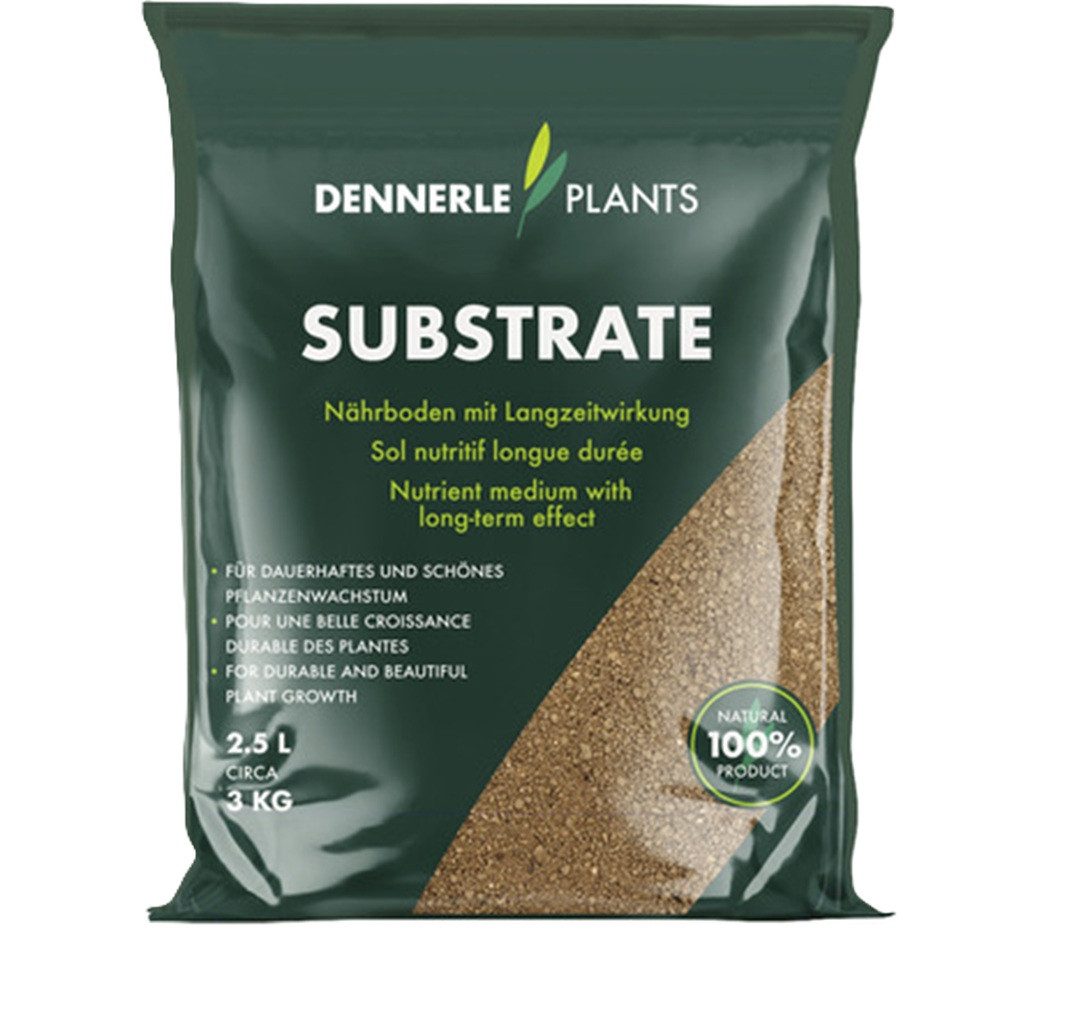 Dennerle Plants Care Aquarien-Substrat Dennerle Plants Substrate 2,5 L