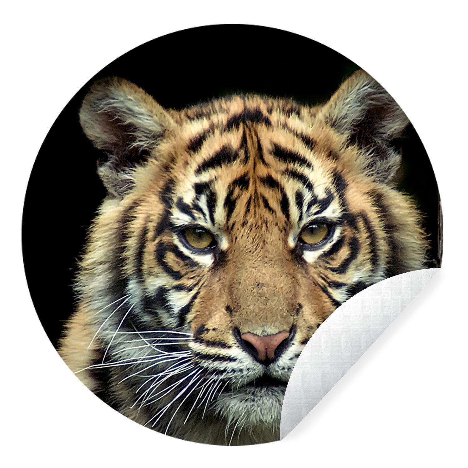 MuchoWow Wandsticker Porträt Sumatra-Tigerjunges vor dunklem Hintergrund (1 St), Tapetenkreis für Kinderzimmer, Tapetenaufkleber, Rund, Wohnzimmer