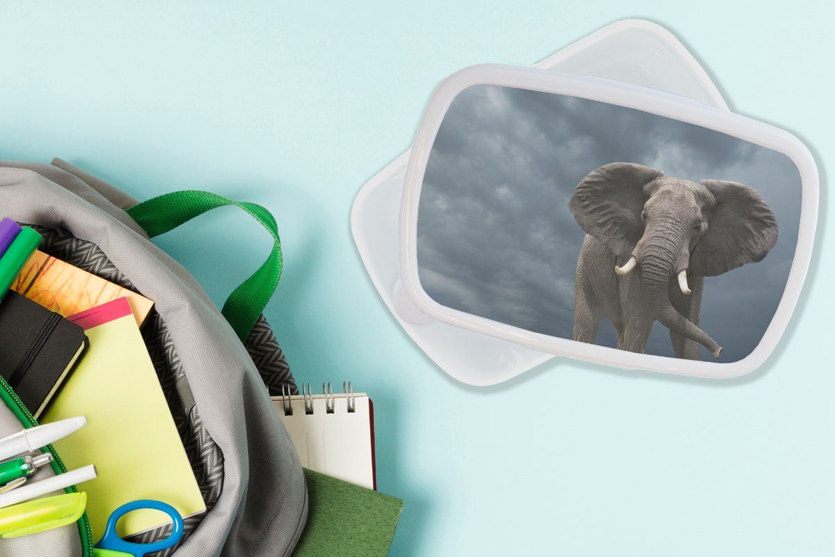 Kinder (2-tlg), - Kunststoff, Mädchen Lunchbox und für Jungs - - MuchoWow Tiere für Natur, und Brotdose, Elefant Brotbox Erwachsene, weiß Wolken