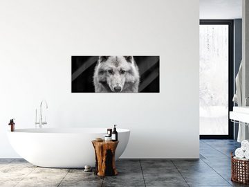 Pixxprint Glasbild Nahaufnahme junger Polarwolf, Nahaufnahme junger Polarwolf (1 St), Glasbild aus Echtglas, inkl. Aufhängungen und Abstandshalter
