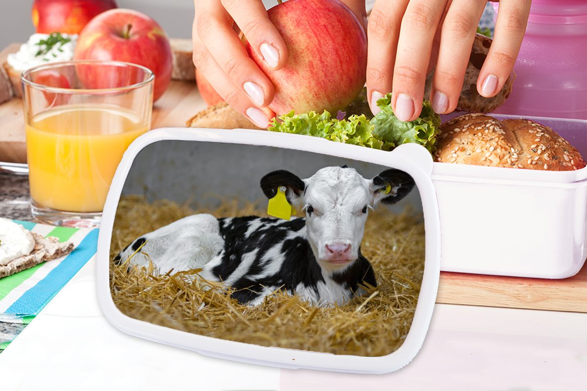 Erwachsene, Jungs Mädchen und Lunchbox Brotbox Stroh und - Tier, - Brotdose, für (2-tlg), Kinder weiß Kunststoff, MuchoWow Kuh für Kalb -