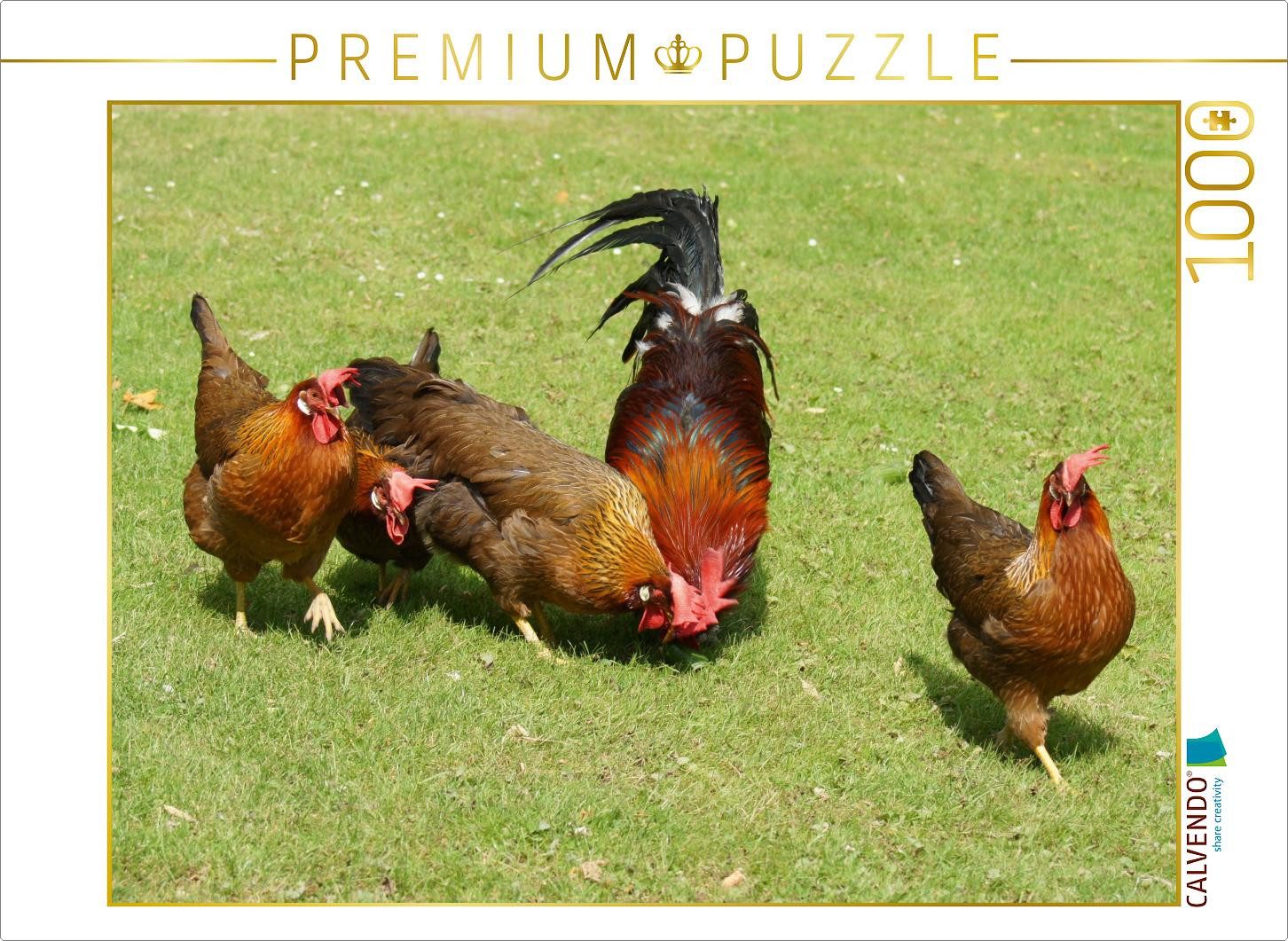 CALVENDO Puzzle CALVENDO Puzzle Kunterbunte Hühnerschar, 1000 Teile Lege-Größe 64 × 4, 1000 Puzzleteile