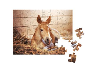 puzzleYOU Puzzle Hübsches Haflingerfohlen im Stall, 48 Puzzleteile, puzzleYOU-Kollektionen Pferde, Haflinger Pferde