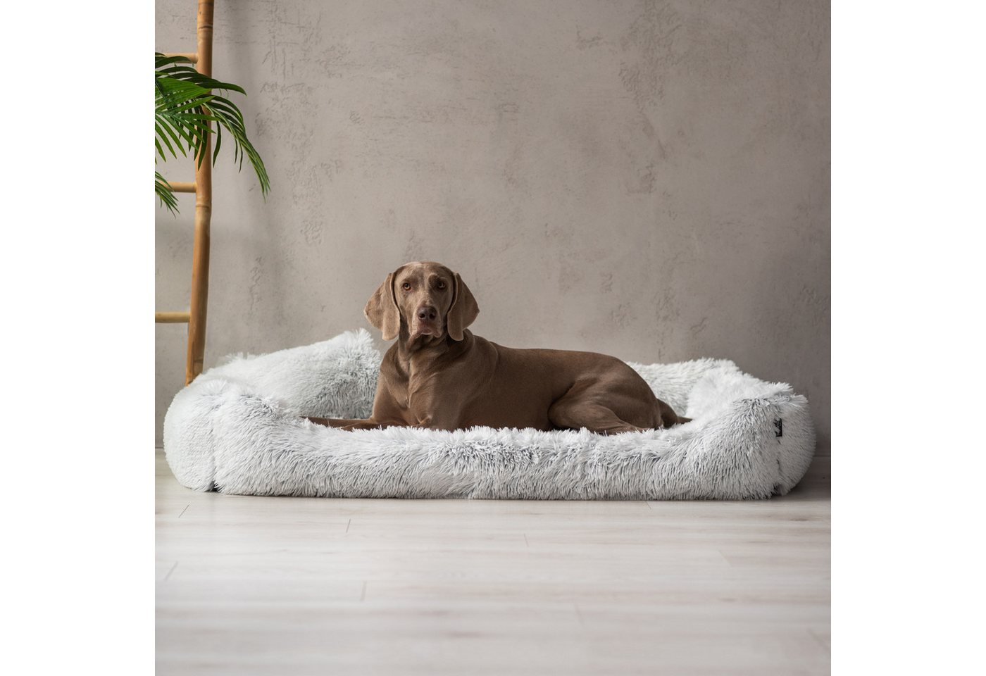 Thumbnail - tierlando® Tierbett Orthopädisches Hundebett PEDRO Shaggy kuscheliger Langflor