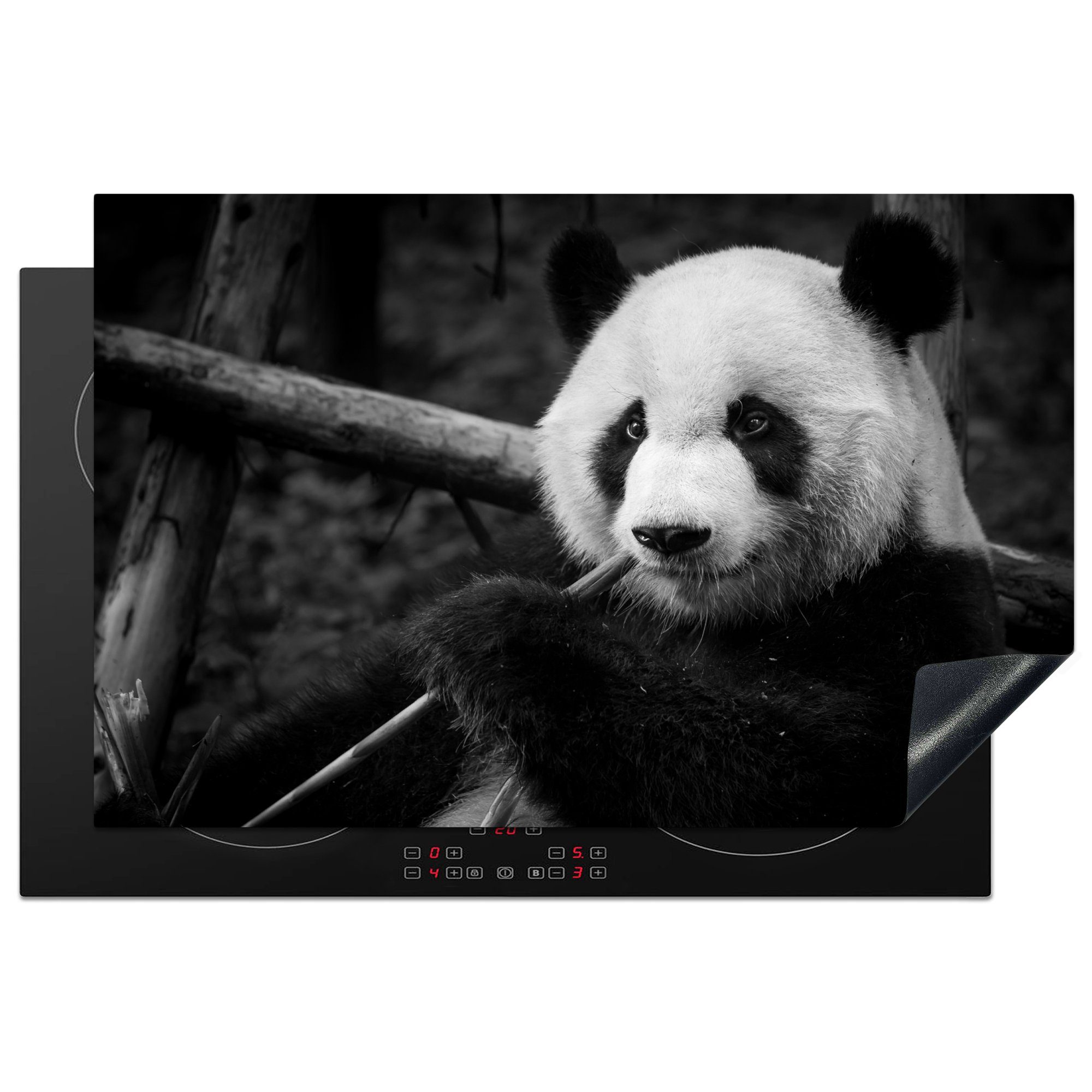 MuchoWow Herdblende-/Abdeckplatte Panda kaut auf Bambus in schwarz-weiß, Vinyl, (1 tlg), 81x52 cm, Induktionskochfeld Schutz für die küche, Ceranfeldabdeckung