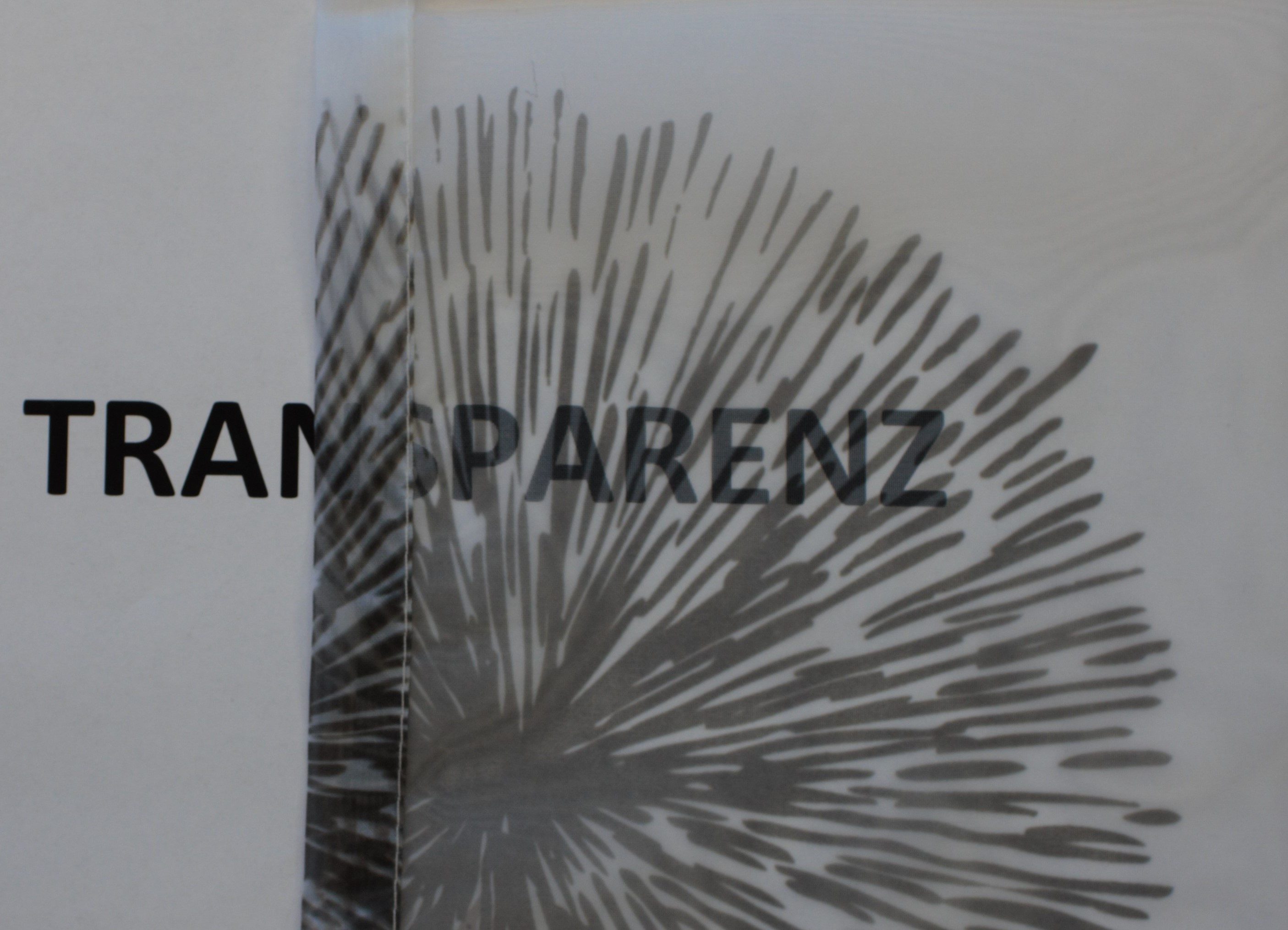 HOME WOHNIDEEN Vorhang RAWLINS (1 St), Schlaufen, transparent, Voile