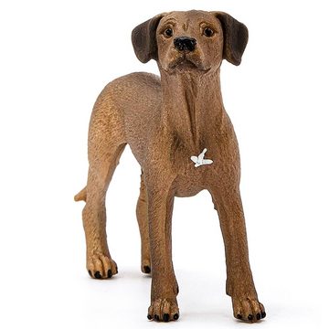 Sarcia.eu Spielfigur Schleich Farm World - Rhodesian Ridgeback Hund, Figur für Kinder 3+