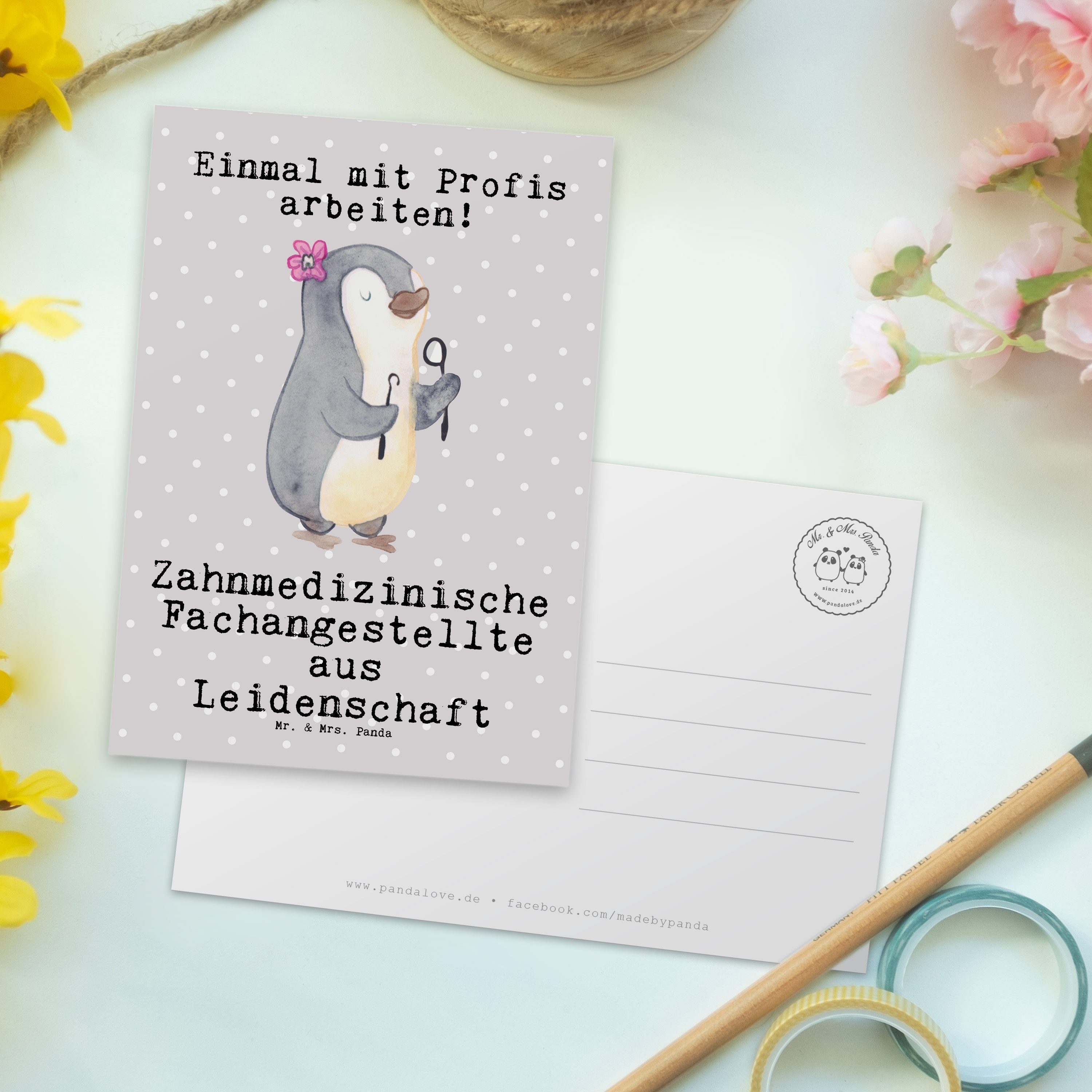 Panda Leidenschaft Postkarte Fachangestellte Ge Grau & aus Pastell - Mr. - Mrs. Zahnmedizinische