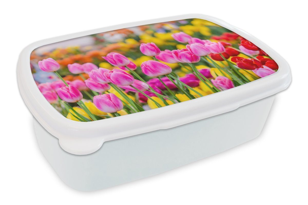 MuchoWow Lunchbox Tulpen - Farben - Frühling, Kunststoff, (2-tlg), Brotbox für Kinder und Erwachsene, Brotdose, für Jungs und Mädchen weiß