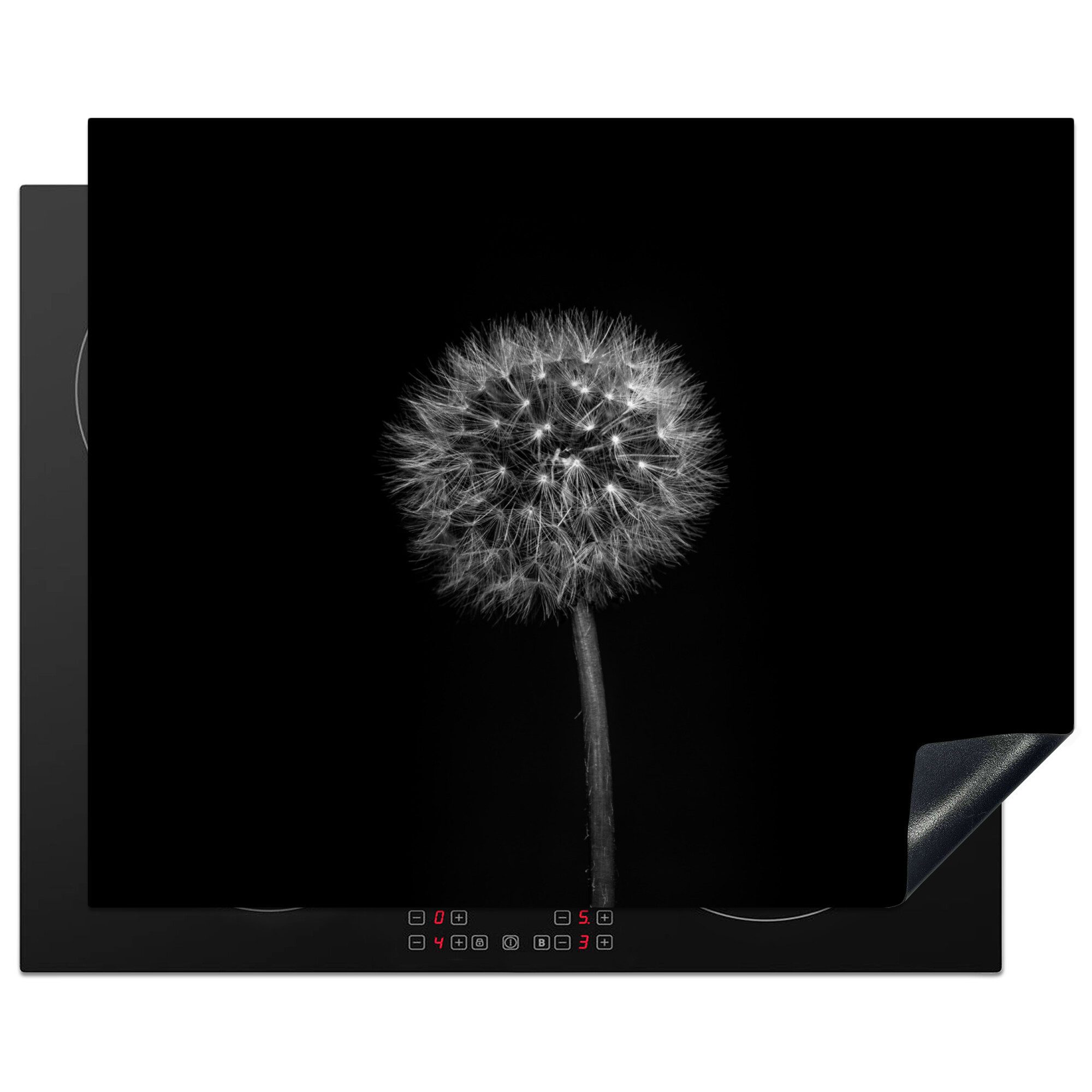 MuchoWow Herd-Abdeckplatte Löwenzahn - Schwarz - Floral - Botanisch, Vinyl, (1 tlg), Abdeckung Induktionskochfeld Schutzmatte, Küche Deko, 65x52 cm