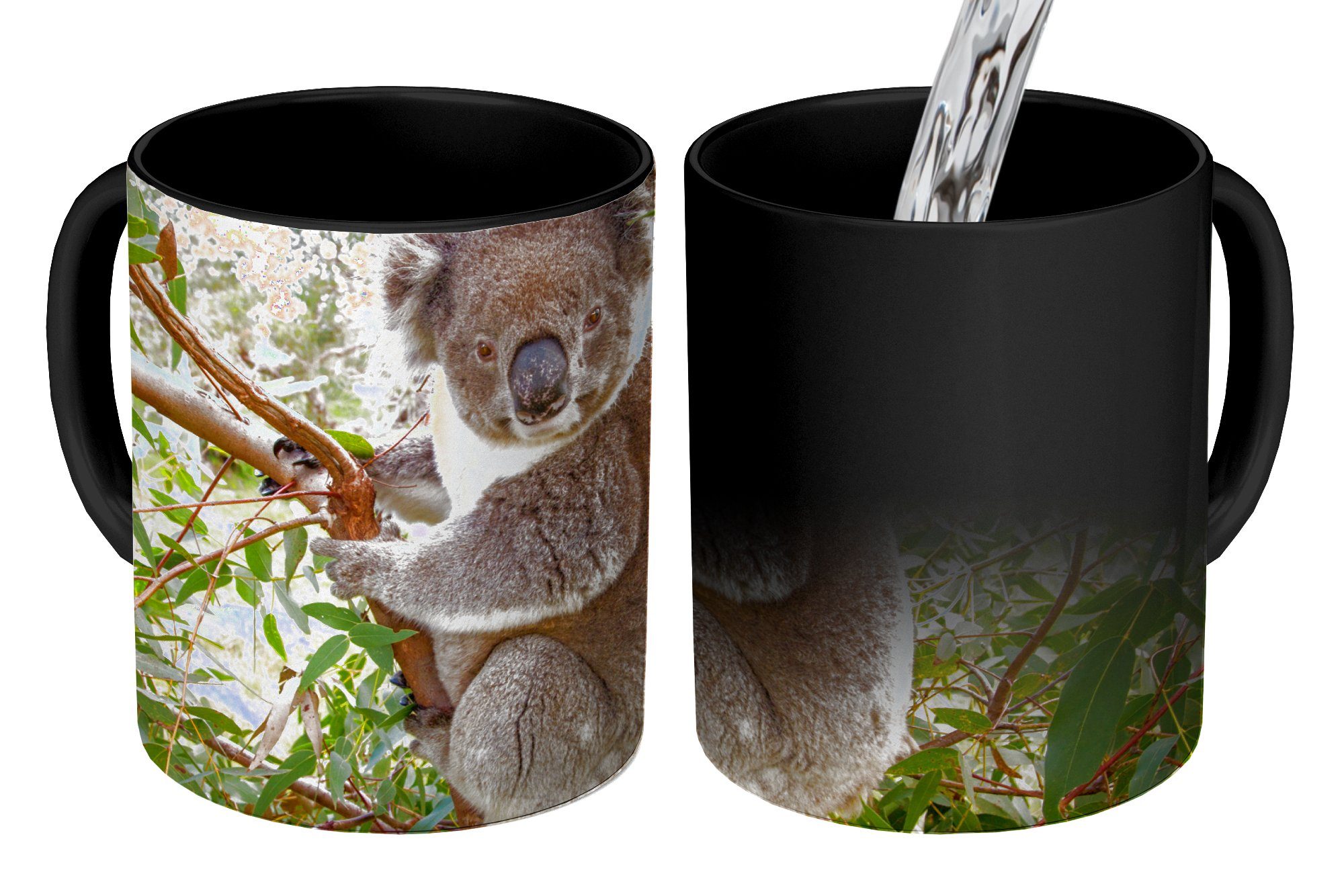MuchoWow Tasse Koala - Blätter - Kinder - Jungen - Mädchen, Keramik, Farbwechsel, Kaffeetassen, Teetasse, Zaubertasse, Geschenk