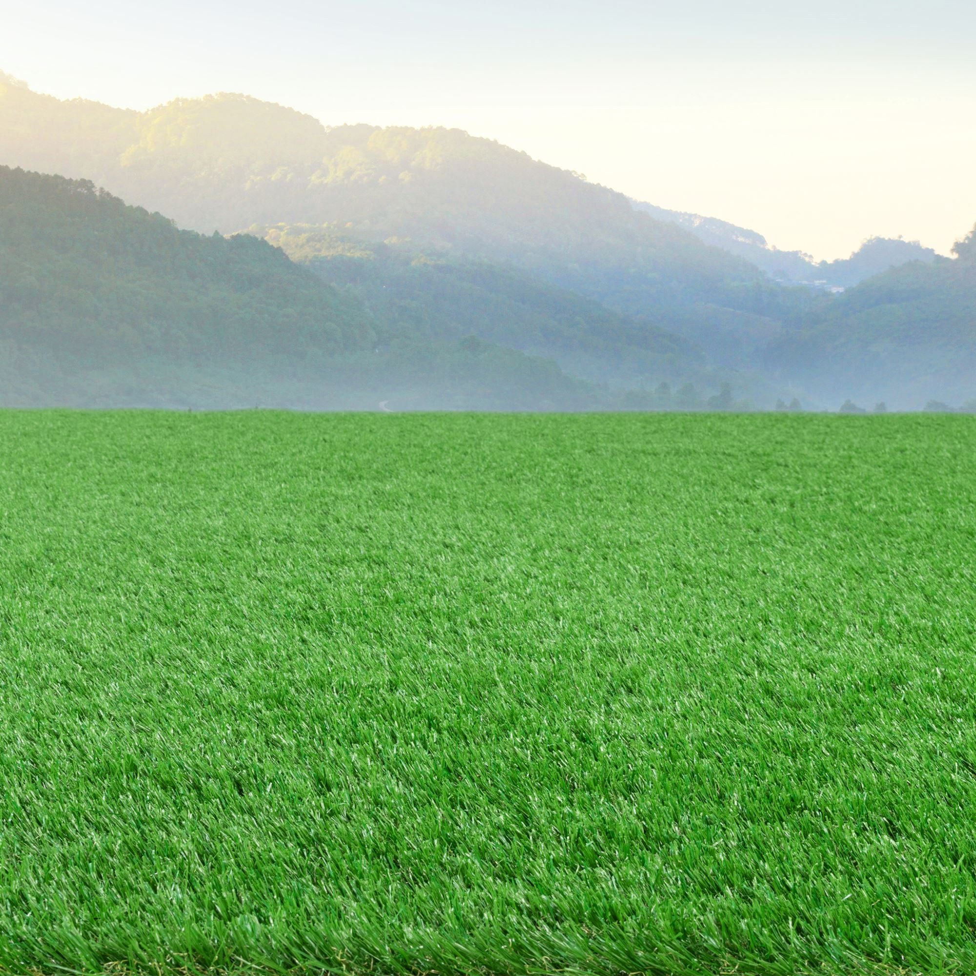 Steffensmeier Kunstrasen Michigan, Rechteckig, Höhe: ca. 32 mm