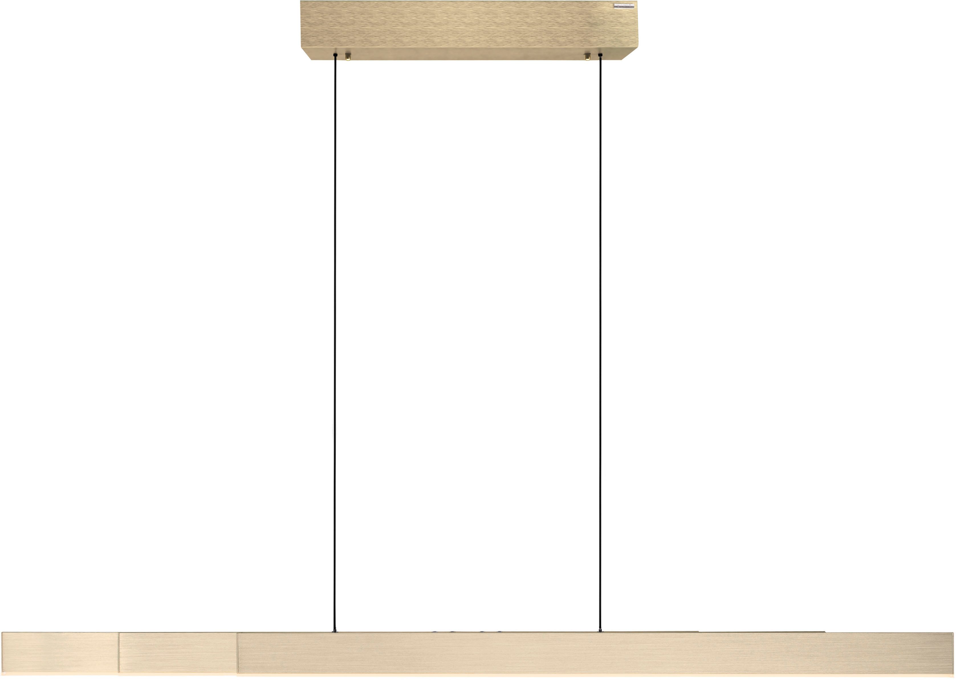 Neuhaus PURE LED Pendelleuchte PURE Moto-Rise, CCT - über Fernbedienung, LED fest integriert, warmweiß - kaltweiß, e-LIFT® Funktion, e-SLIDE® Funktion, Fernbedienung