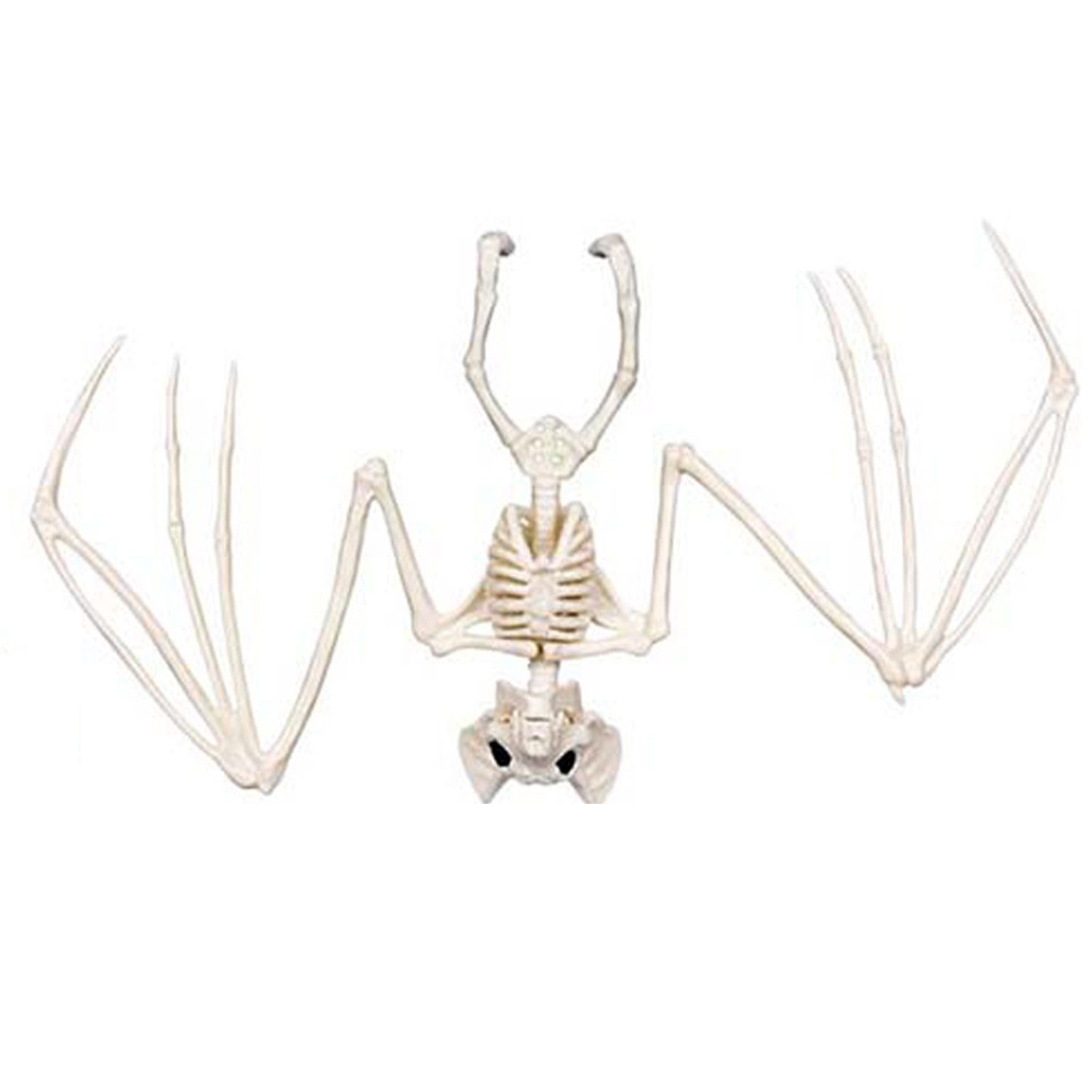 Boland Dekoobjekt Skelett Tiere 5-fach sortiert, Beige - Halloween – Bild 2 von 5