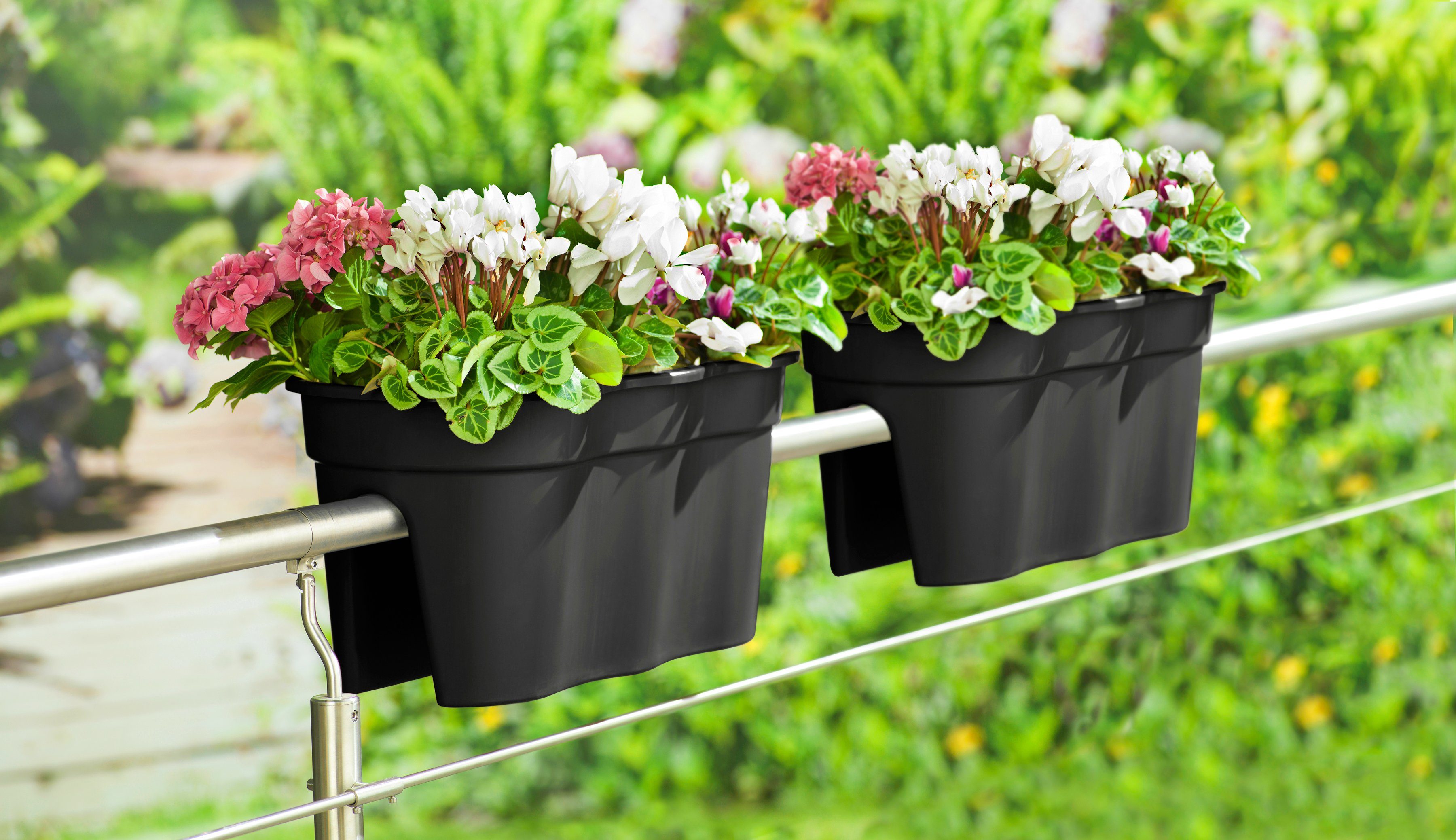KHW Balkonkasten Flowerclip XXL (Set, 2 St), BxTxH: 57,5x27,7x27 cm