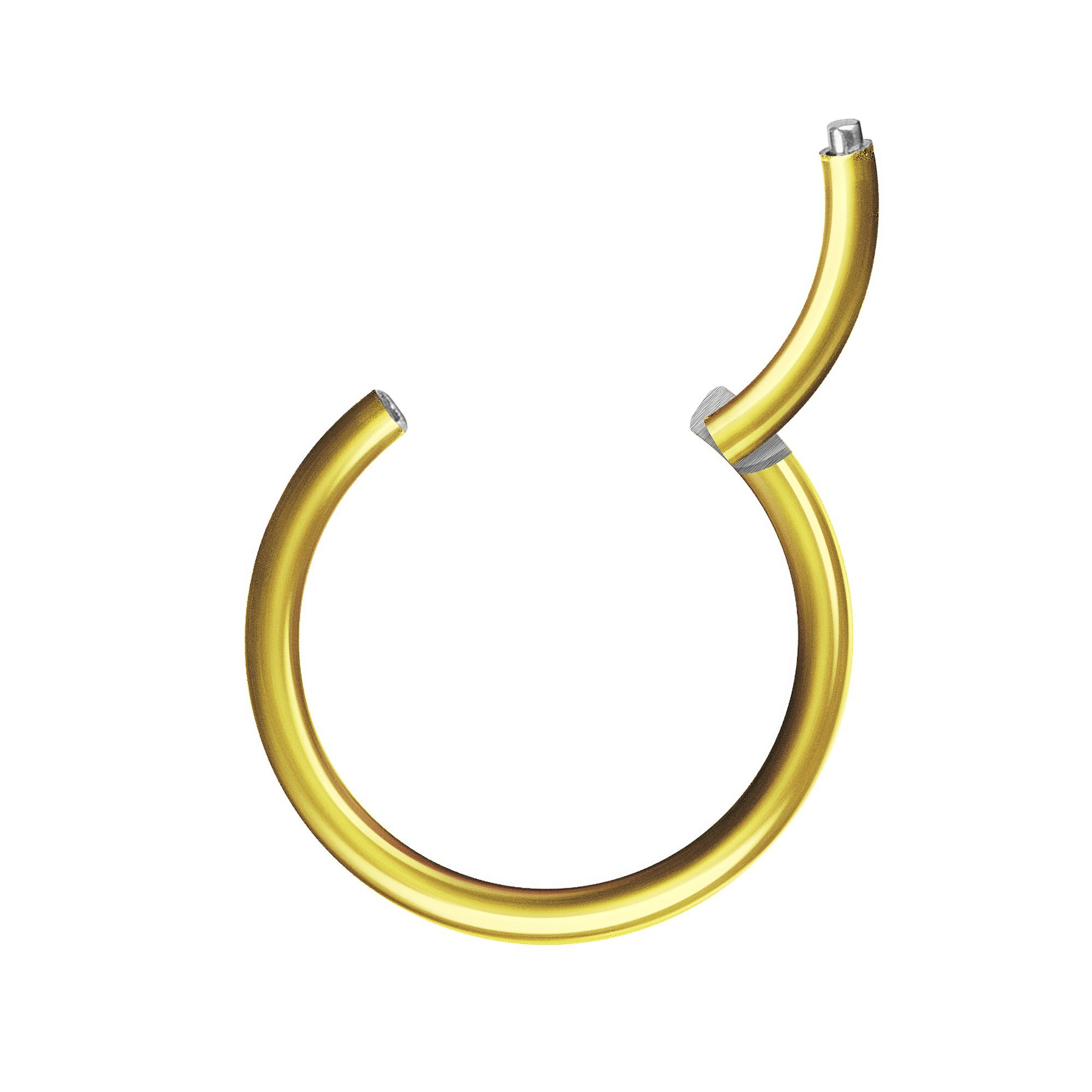 Nasenpiercing Segmentring Piercing Titan G23 oder Chirurgenstahl