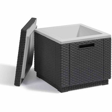 Gartentrends Kühlbox Ice-Cube, in graphit, Kunststoff - 42x41x42cm (BxHxT)