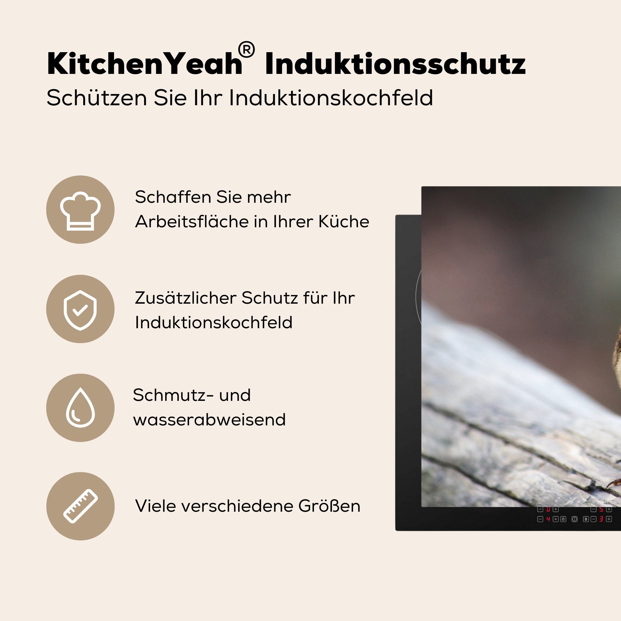 - für Rotkehlchen - küche, 81x52 tlg), Schutz Holz Induktionskochfeld cm, (1 Herdblende-/Abdeckplatte die Vogel, MuchoWow Vinyl, Ceranfeldabdeckung