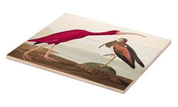 Posterlounge Holzbild John James Audubon, Scharlachsichler, Vintage Malerei