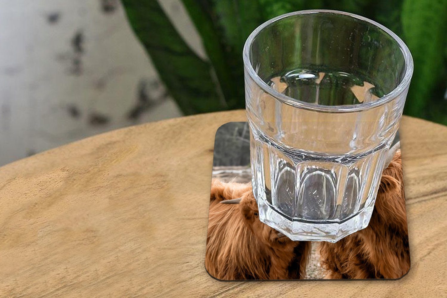 MuchoWow Glasuntersetzer Tiere Gläser, - Tischuntersetzer, Schottischer Glasuntersetzer, Wald, Untersetzer, für Zubehör Highlander Korkuntersetzer, - Tasse 6-tlg