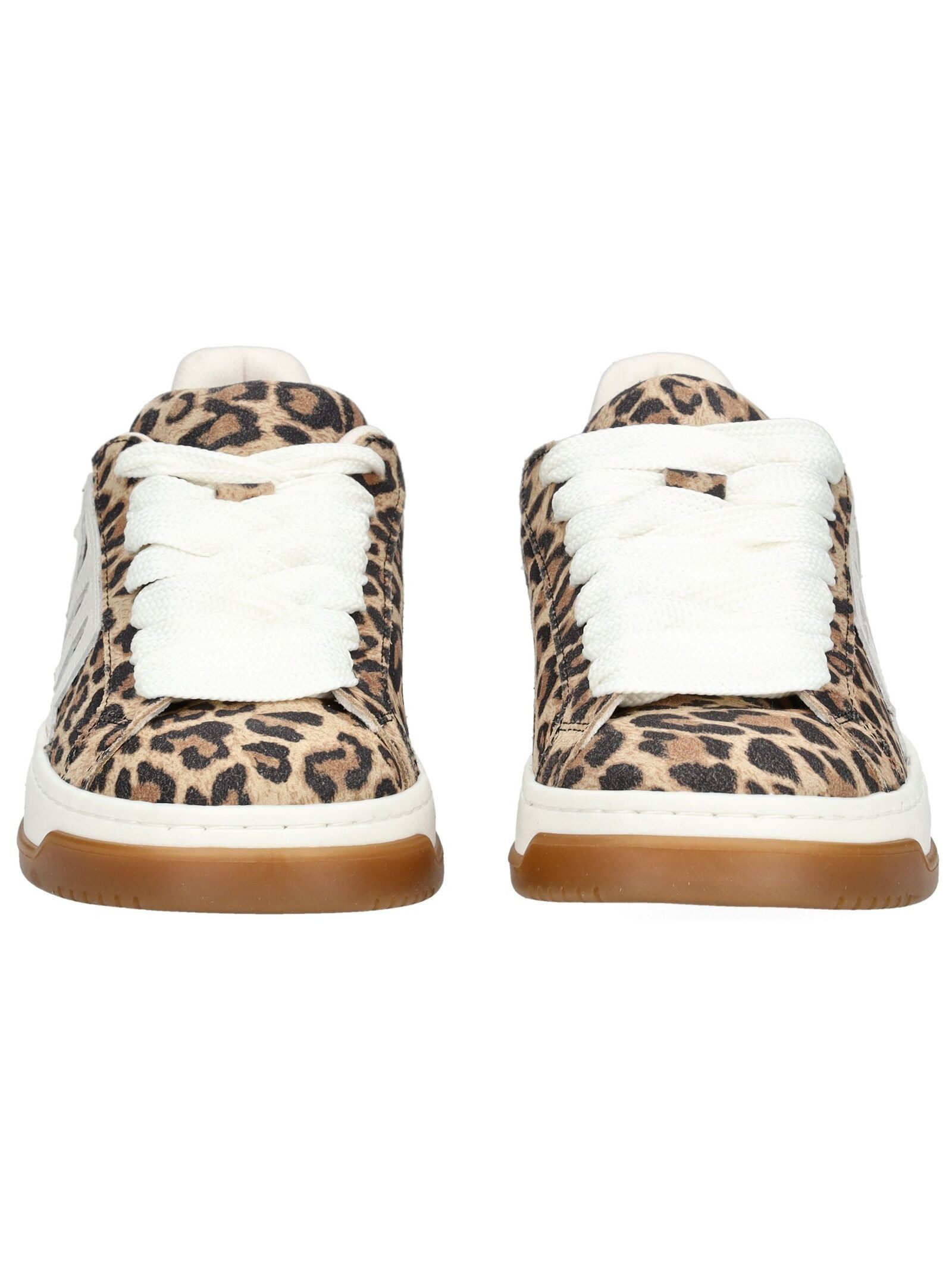 STEVE MADDEN STEVE MADDEN Sneaker Veloursleder Sneaker