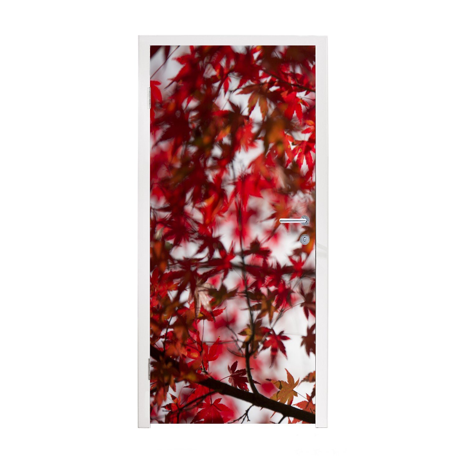 japanischen Ahorns, Fototapete (1 Blätter MuchoWow Rote St), bedruckt, eines Matt, cm Türaufkleber, 75x205 für Tür, Türtapete