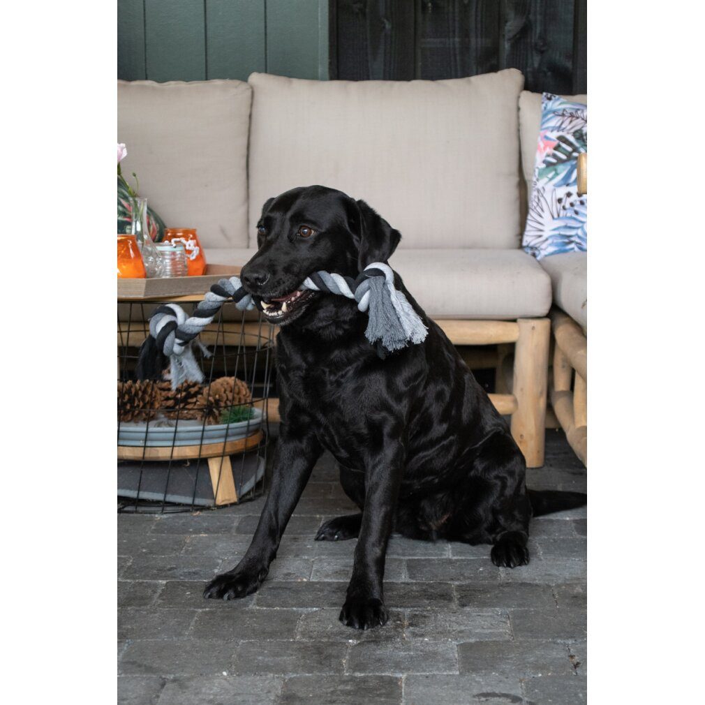 Holland Animal Care Tierquietschie Floss Toss Dental Rope 5 Knot 145 cm