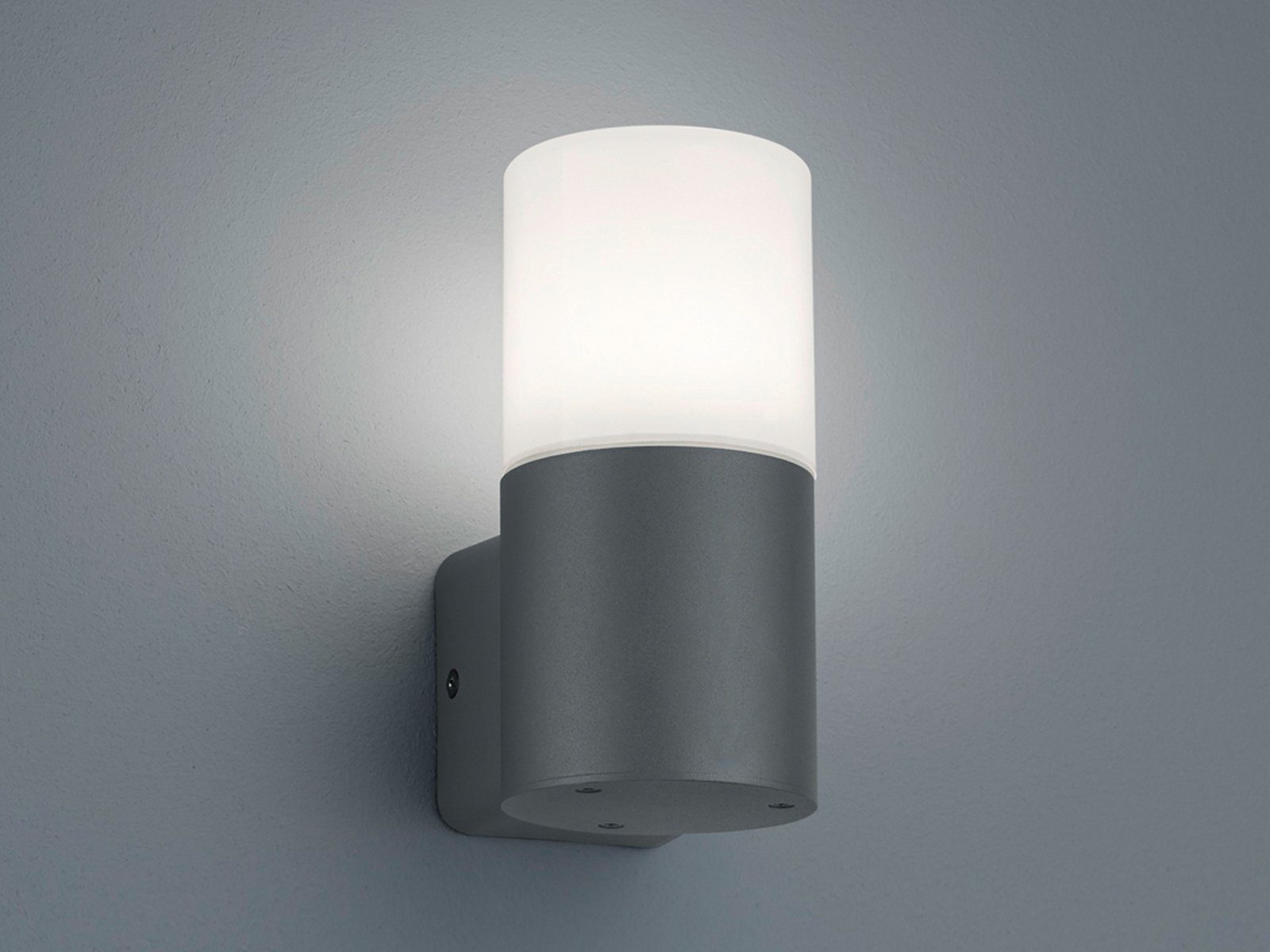 TRIO Leuchten LED Außen-Wandleuchte, LED wechselbar, günstig online kaufen