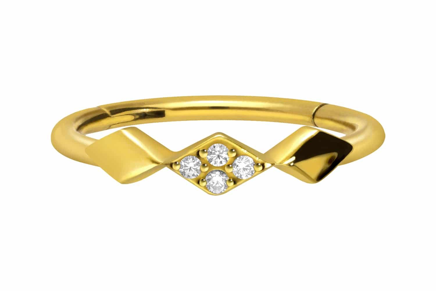 PIERCINGLINE Piercing-Set Chirurgenstahl Segmentring Clicker 3 günstig online kaufen