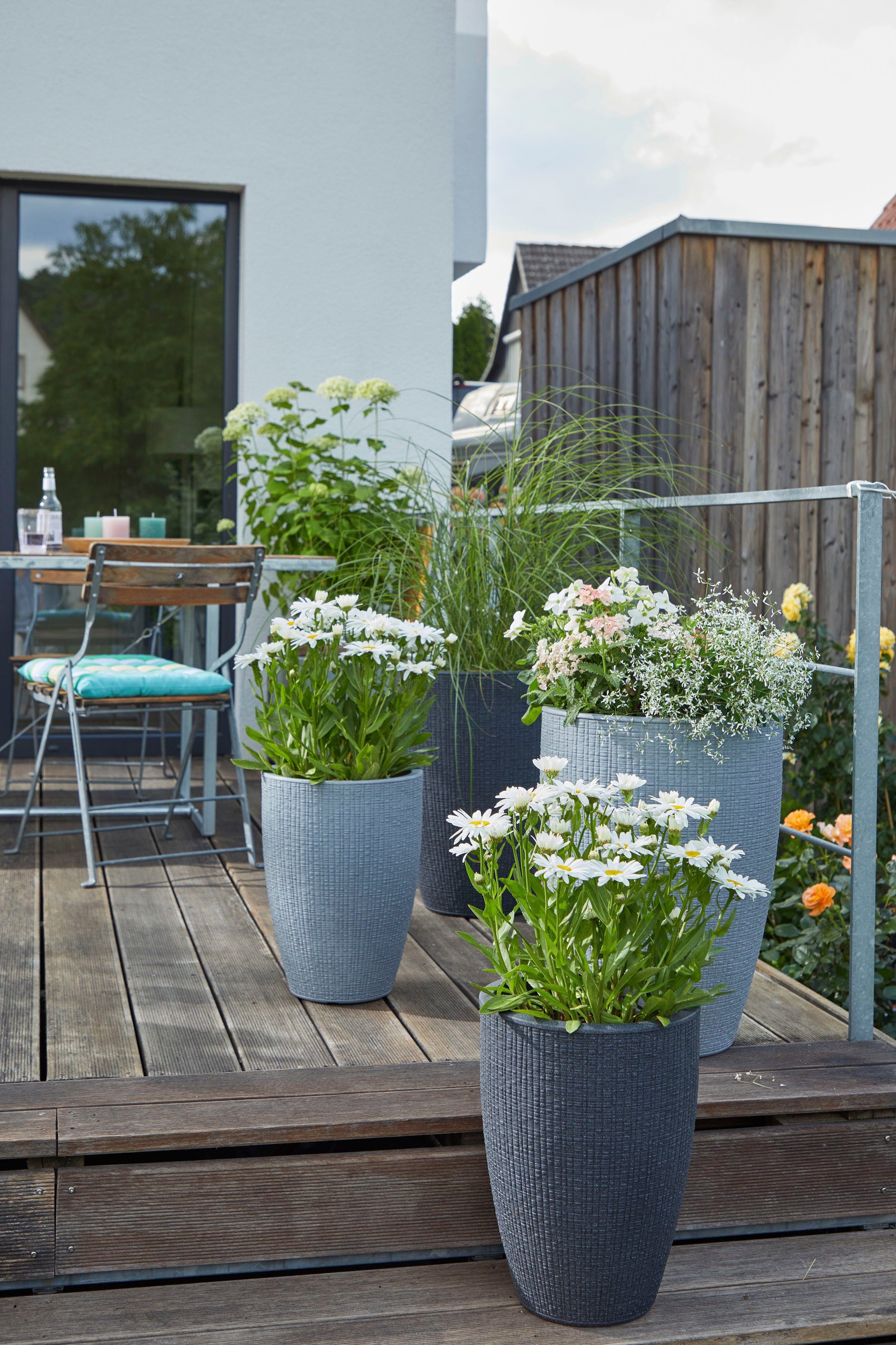 Scheurich Blumentopf 40/299 BARCEO HIGH günstig online kaufen