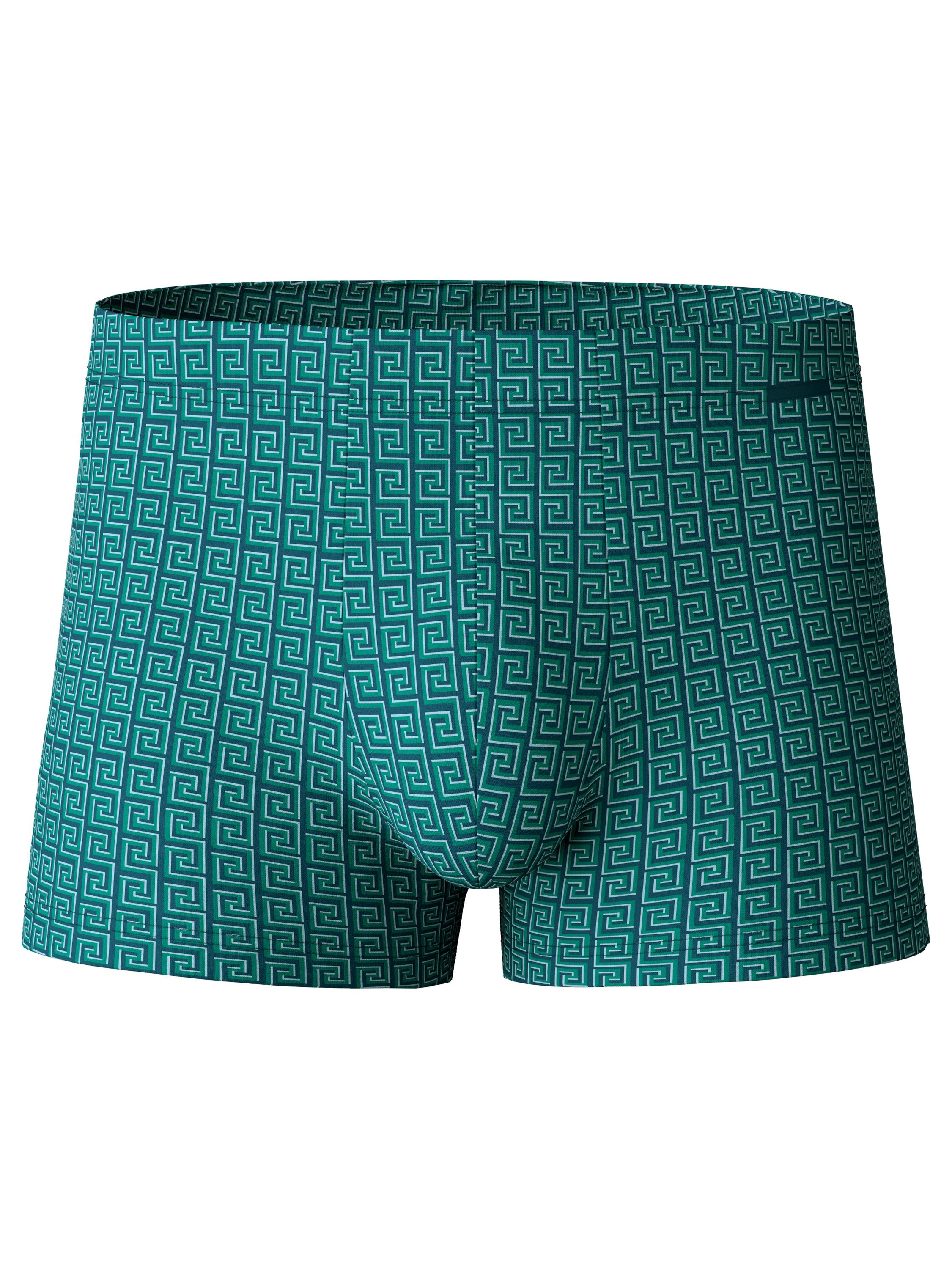Boxer Focus Trend Herren