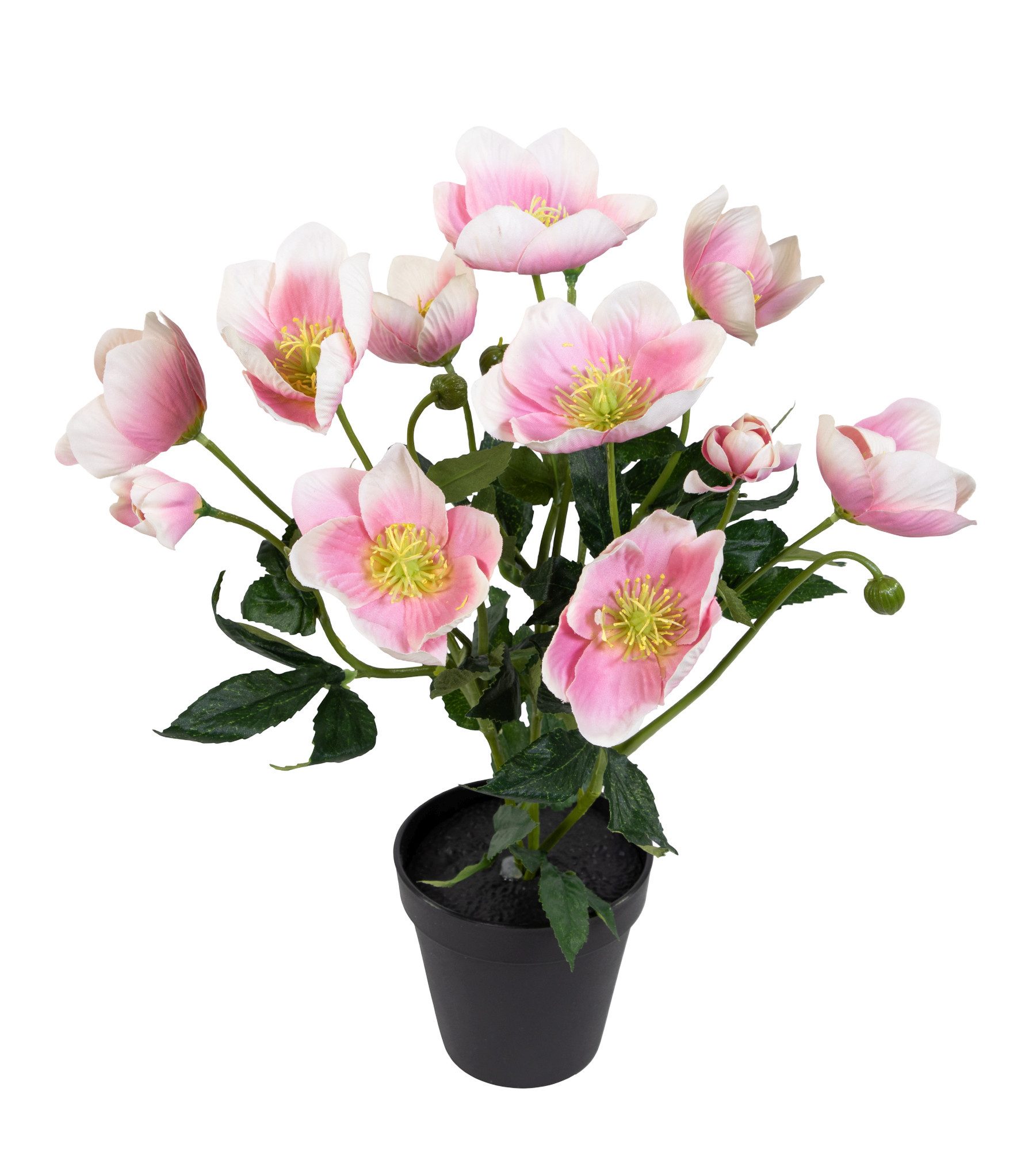 Kunstblume Christrosenbusch im Topf PM Kunstpflanzen künstliche Blumen Christrose Helleborus, Seidenblumen Roß, Höhe 36 cm, Farbe: Hellrosa