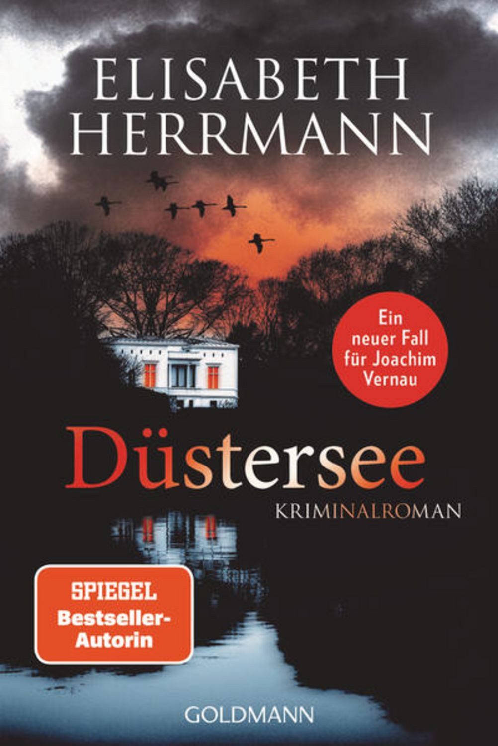 Düstersee / Elisabeth Herrmann
