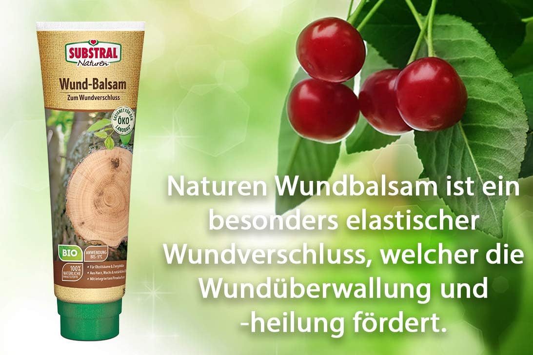 Substral Naturen Baum-Wundverschluss Substral Naturen Bio Wundbalsam, Wundverschlussmittel 350 g