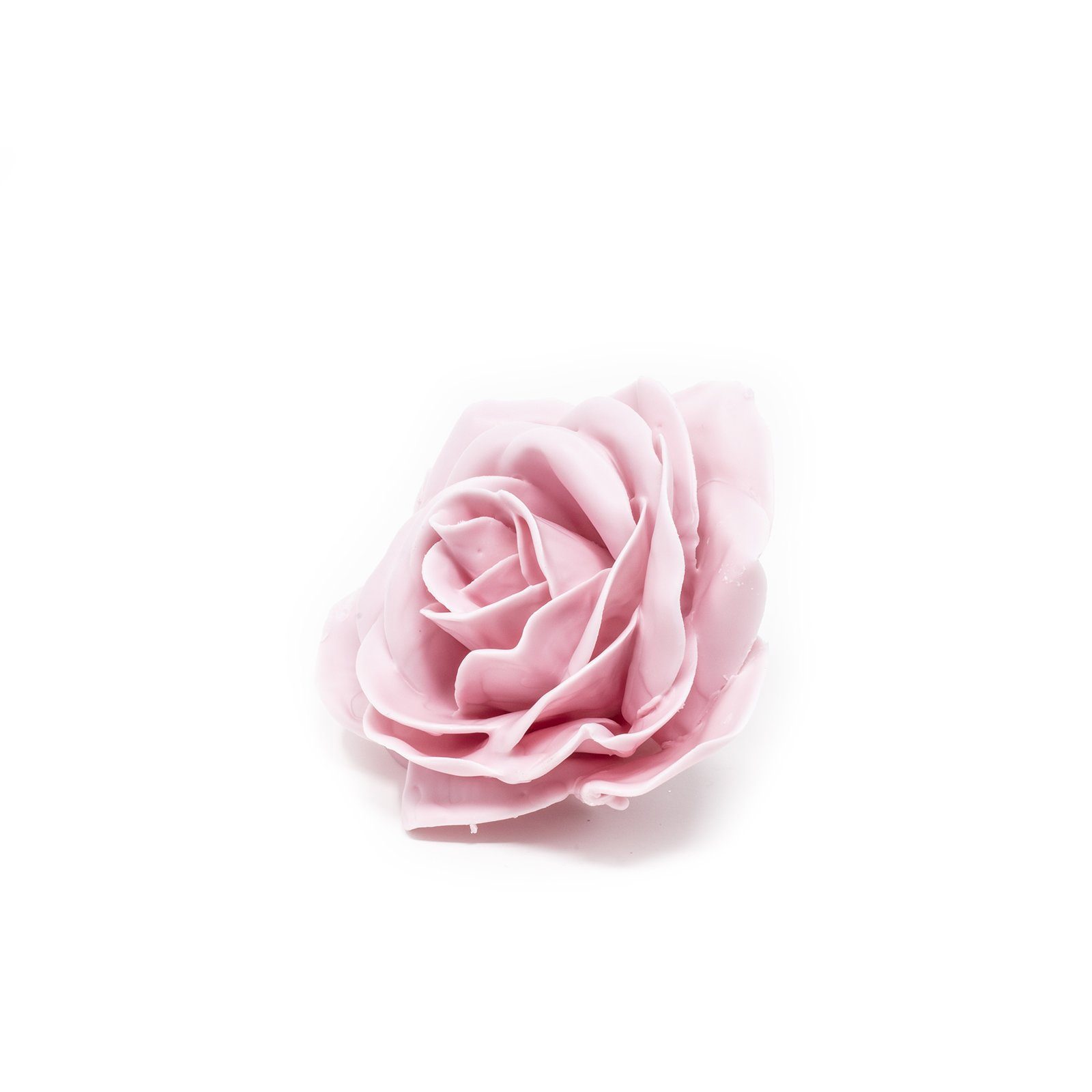 Trockenblume 10er-Set Wachsrose - Lilac Soft, Primera, Höhe 20 cm | Trockenblumen