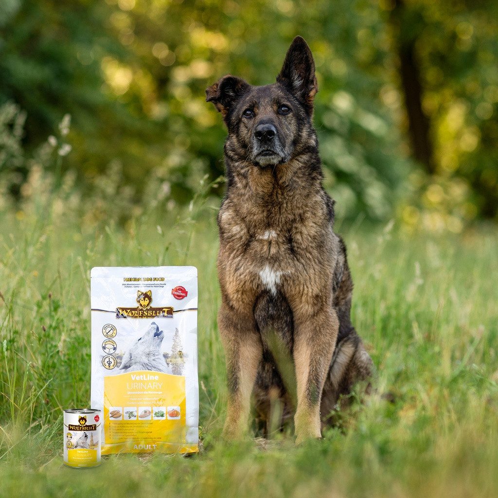 Wolfsblut Vetline Urinary - Unterstützung bei Problemen mit den Harnwegen, Trockenfutter für: Hunde