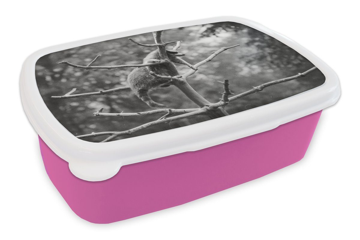MuchoWow Lunchbox Waschbär klettert auf Baum, Kunststoff, (2-tlg), Brotbox für Erwachsene, Brotdose Kinder, Snackbox, Mädchen, Kunststoff rosa