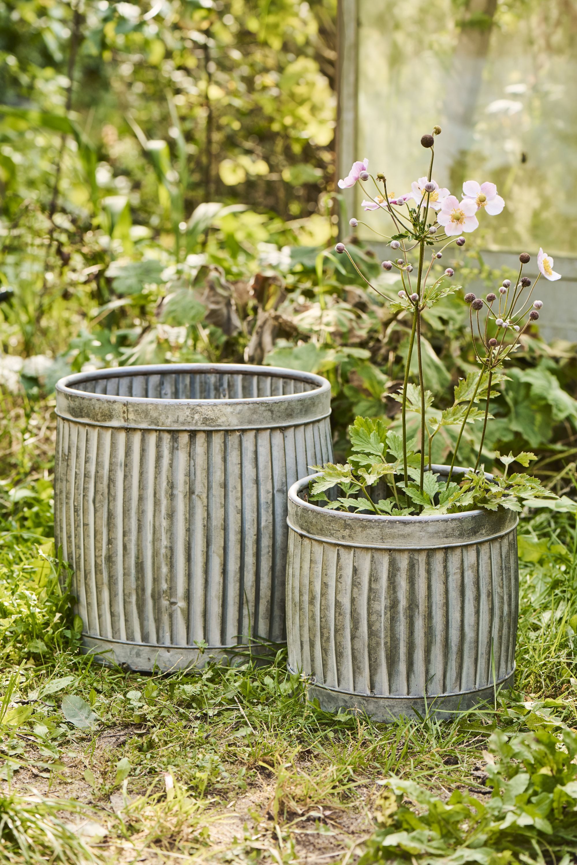 Thumbnail - Ib Laursen Blumentopf Ib Laursen - 2x Pflanztopf Blumentopf Metall Rund Grau 5647-18
