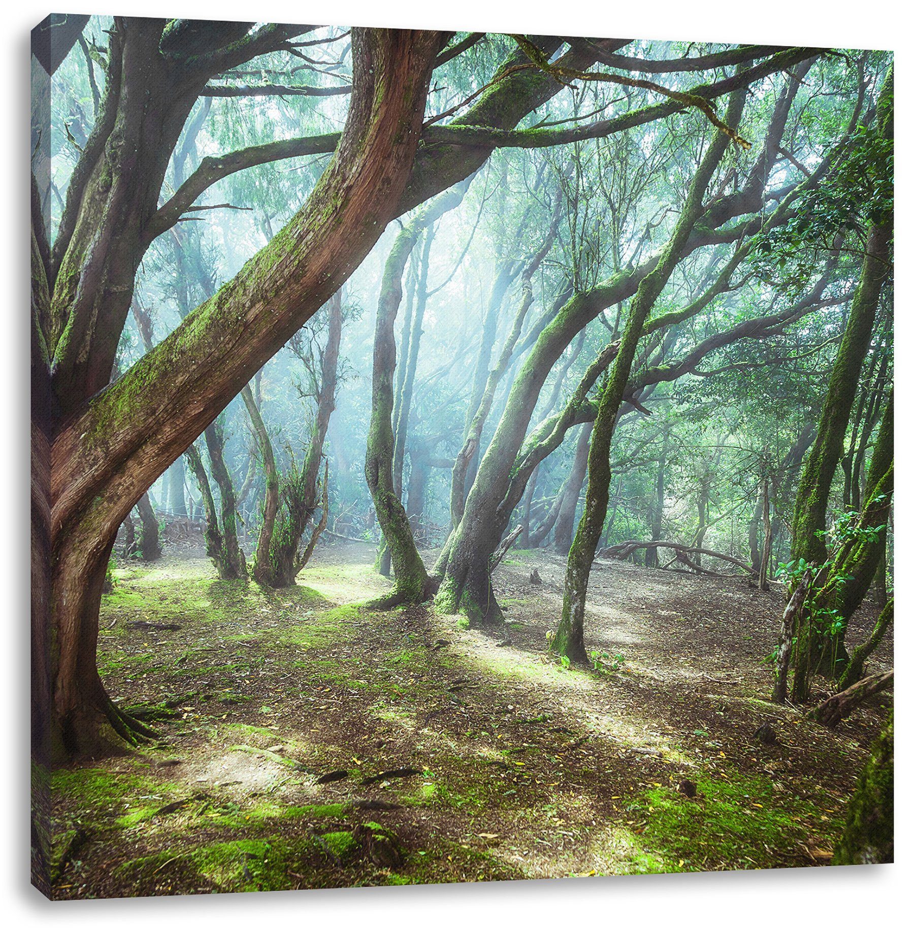 Wald, St), fertig Pixxprint (1 Leinwandbild inkl. Zackenaufhänger Wald bespannt, Leinwandbild