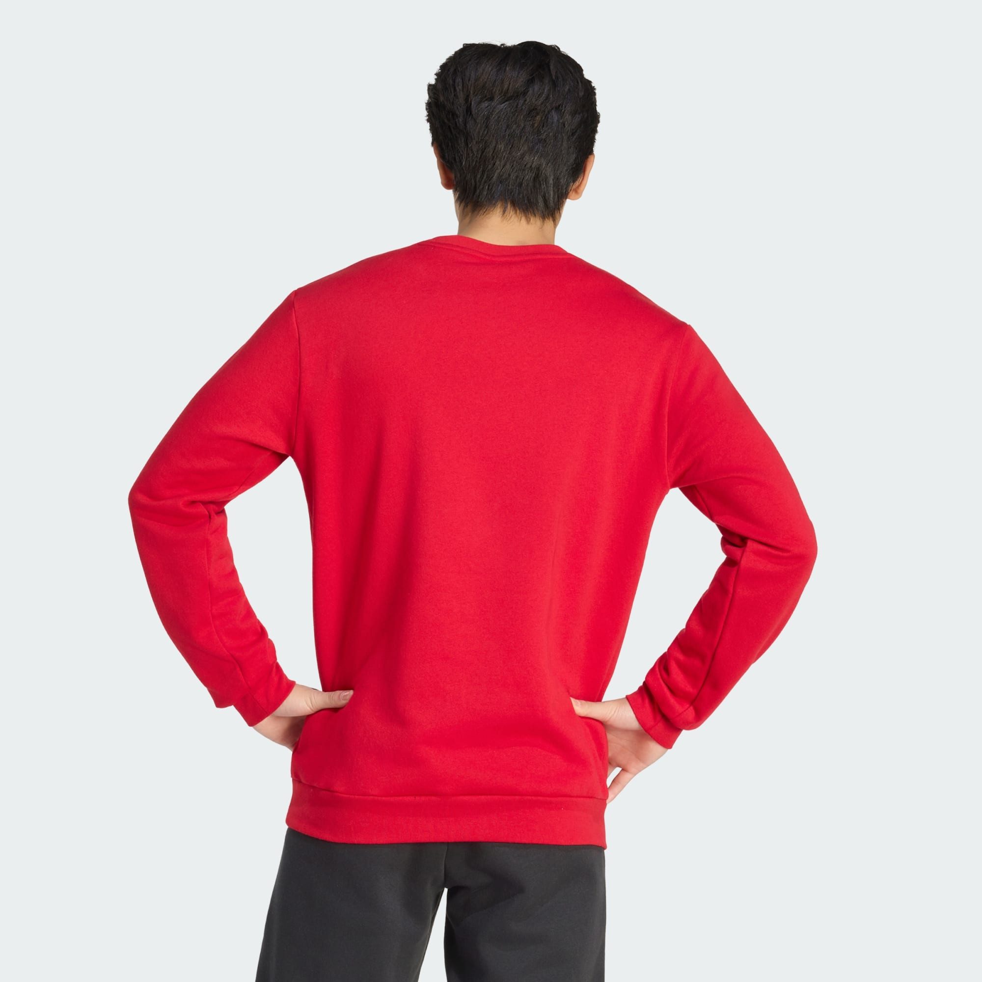 adidas Performance Sweatshirt ENTRADA26 SWEATSHIRT (1-tlg)