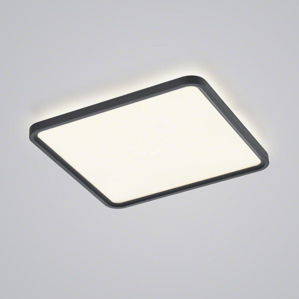 Helestra LED Panel LED Deckenpanel Vesp in Schwarz-matt 50W 2870lm 610x610mm, keine Angabe, Leuchtmittel enthalten: Ja, fest verbaut, LED, warmweiss, LED Panele