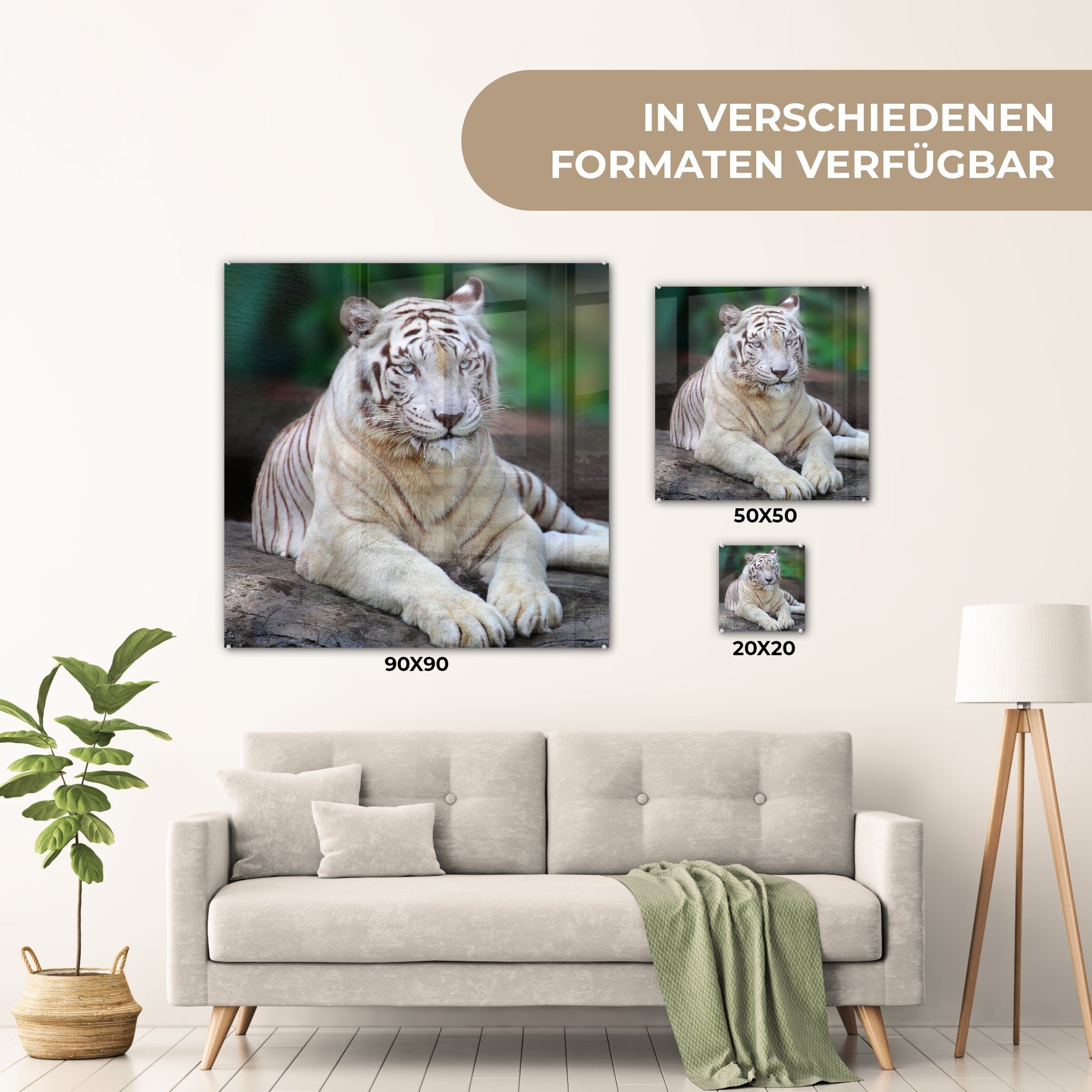 auf St), Wanddekoration auf - Wandbild Glas Glas Bilder - Wald, MuchoWow Acrylglasbild Weißer - Baumstamm Tiger (1 Glasbilder Foto - -