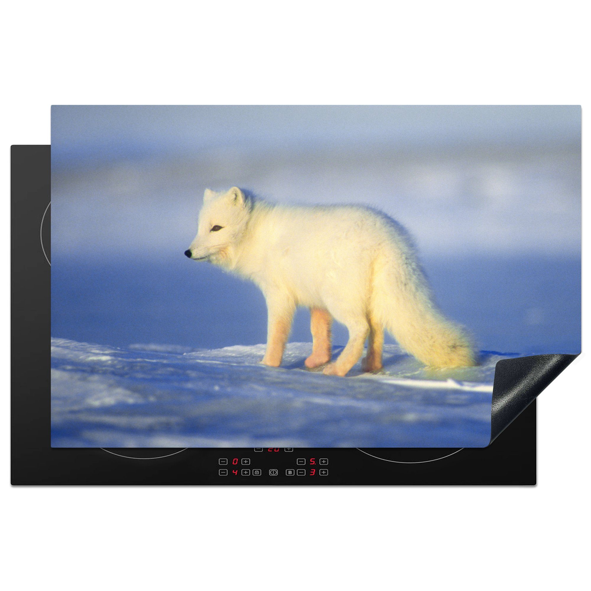 MuchoWow Herdblende-/Abdeckplatte Polarfuchs - Winter - Sonne, Vinyl, (1 tlg), 81x52 cm, Induktionskochfeld Schutz für die küche, Ceranfeldabdeckung